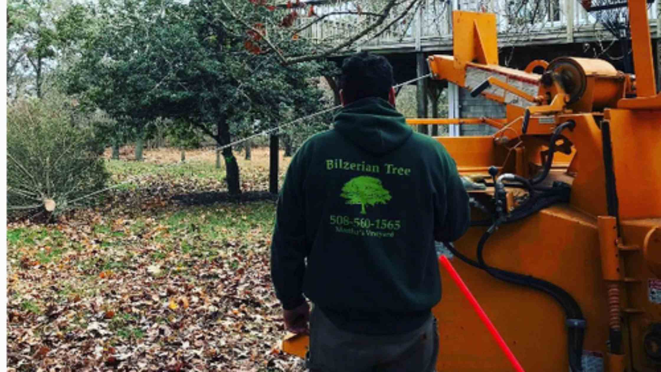 Expert Lawn Seeding Services
